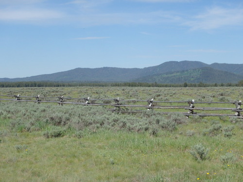 GDMBR: There is about a three mile long wood fence here.